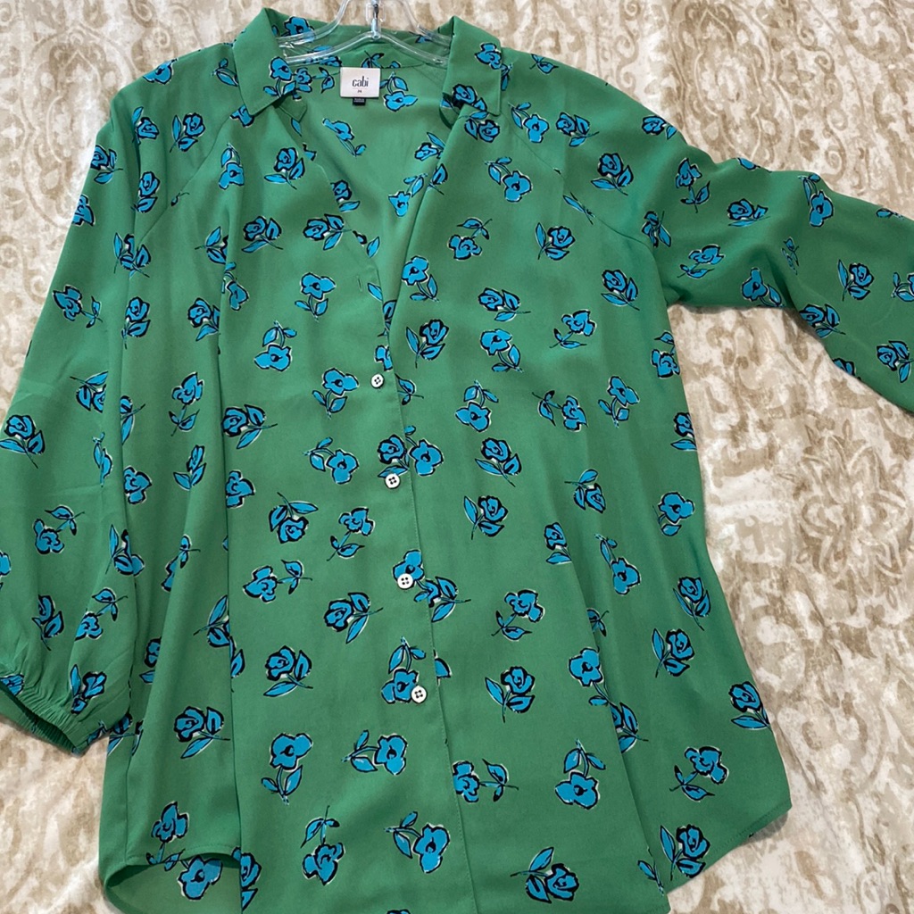 Cabi Top Button Down
